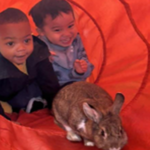 Interactive Live Zoology Program