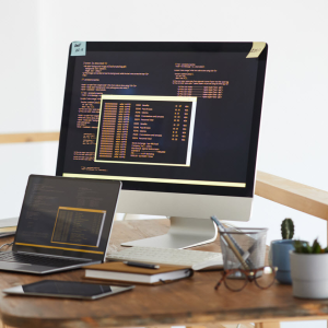 Web Development