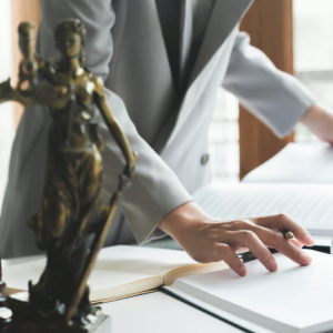Legal Document Preparation