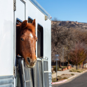 Horse Trailer Repair
