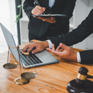 Legal System Navigation Support