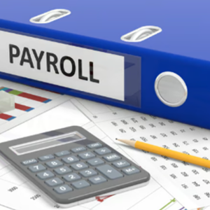 Payroll Services