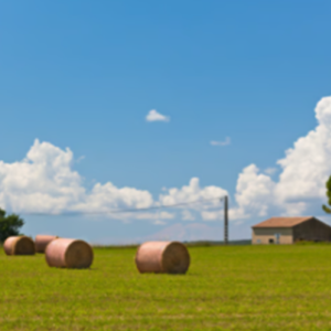 Farm, Ranch & Land Sales