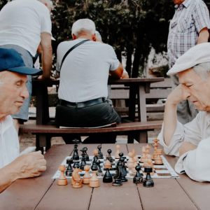 Retirement Income Planning with Annuities