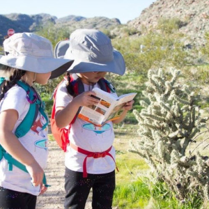 Environmental Education Programs