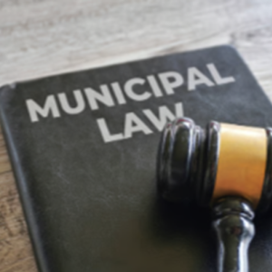 Municipal & Civil Service Representation