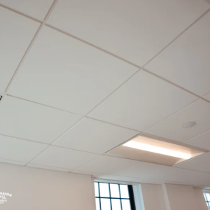 Acoustical Paneling