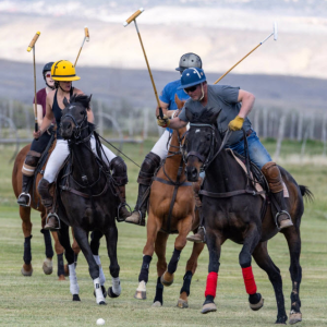 Polo Lessons