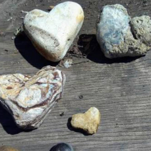 Rockhounding Education
