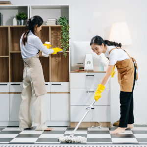 Cleaning Services