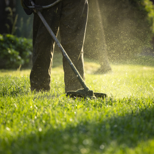 Lawn Maintenance