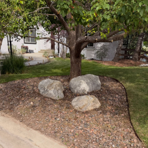 Landscape Maintenance