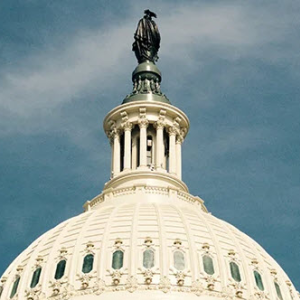 Government and Public Law