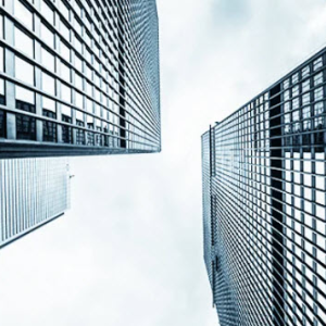 Real Estate Investment Trusts (REITs)