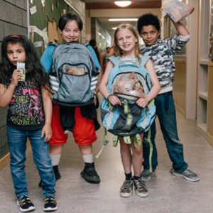 School Partnerships