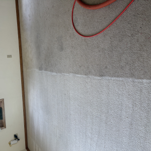 Carpet Cleaning