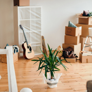 Move-in / Move-out Cleaning