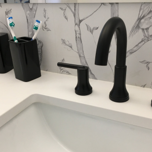 Bathroom Fixture Installation