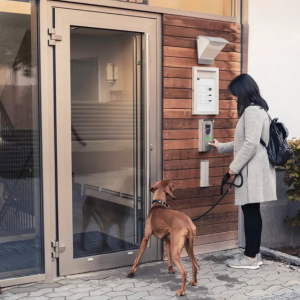Renters Insurance