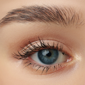 Eyebrows and Eyelashes