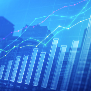 Investment Management