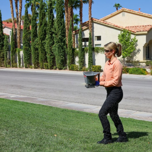 Pest Extermination