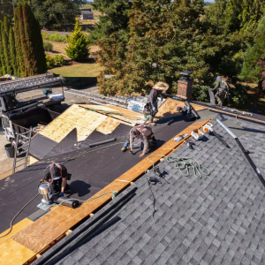 Roof Replacement