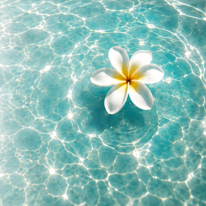 Holistic Life Review