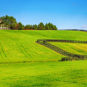 Farm and Ranch Search