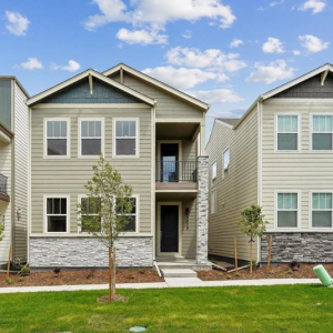Property Search