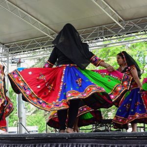 Cultural Preservation, Education, and Awareness Programs