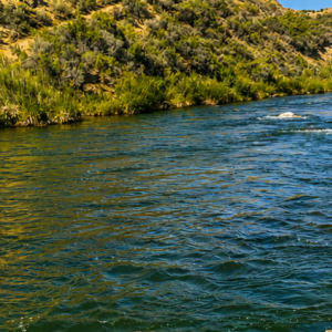 Water and Utility Information