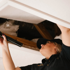 Commercial Pest Control