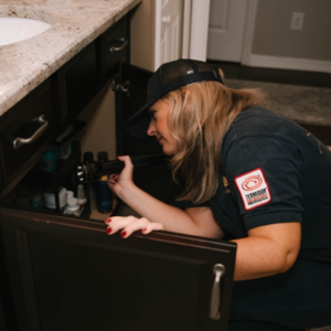 Spider Control