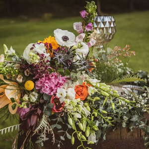 Elopement & Intimate Wedding Packages