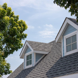 Roof Replacement