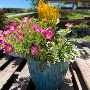 Perennials