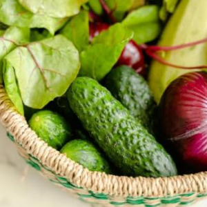 Nutrition Coaching