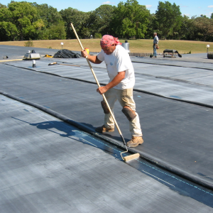 Roof Maintenance Program