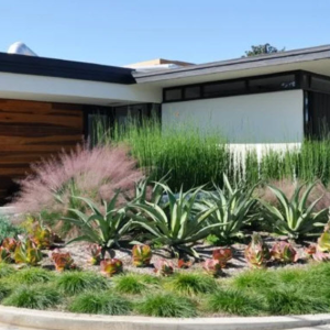 Landscape Architecture