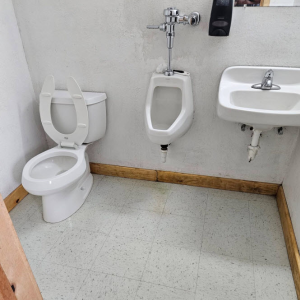 Professional Cleaning Services