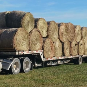 Hay Bale Sales