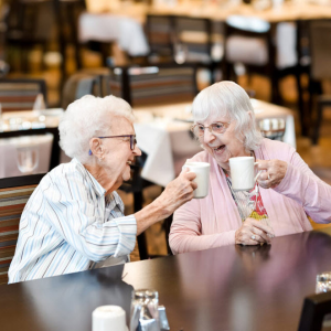 Adult Day Services