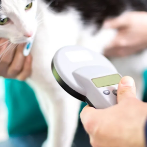 Laser Therapy Packages