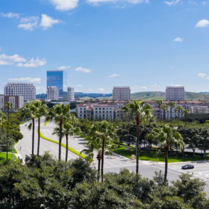 Commercial Real Estate Advocacy