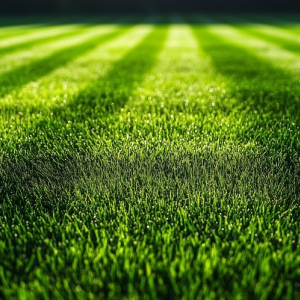 Turf Management