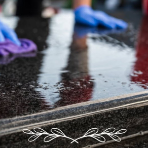 Cleaning, Restoration, & Resetting
