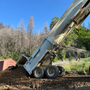 The Dawn Renewal Project