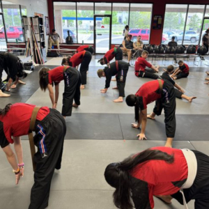 Taekwondo Classes
