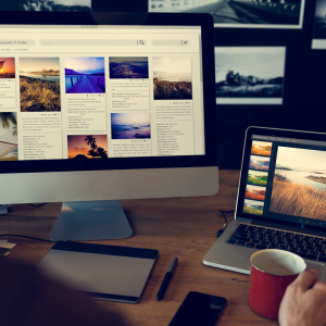 Understanding Your Website Visitors